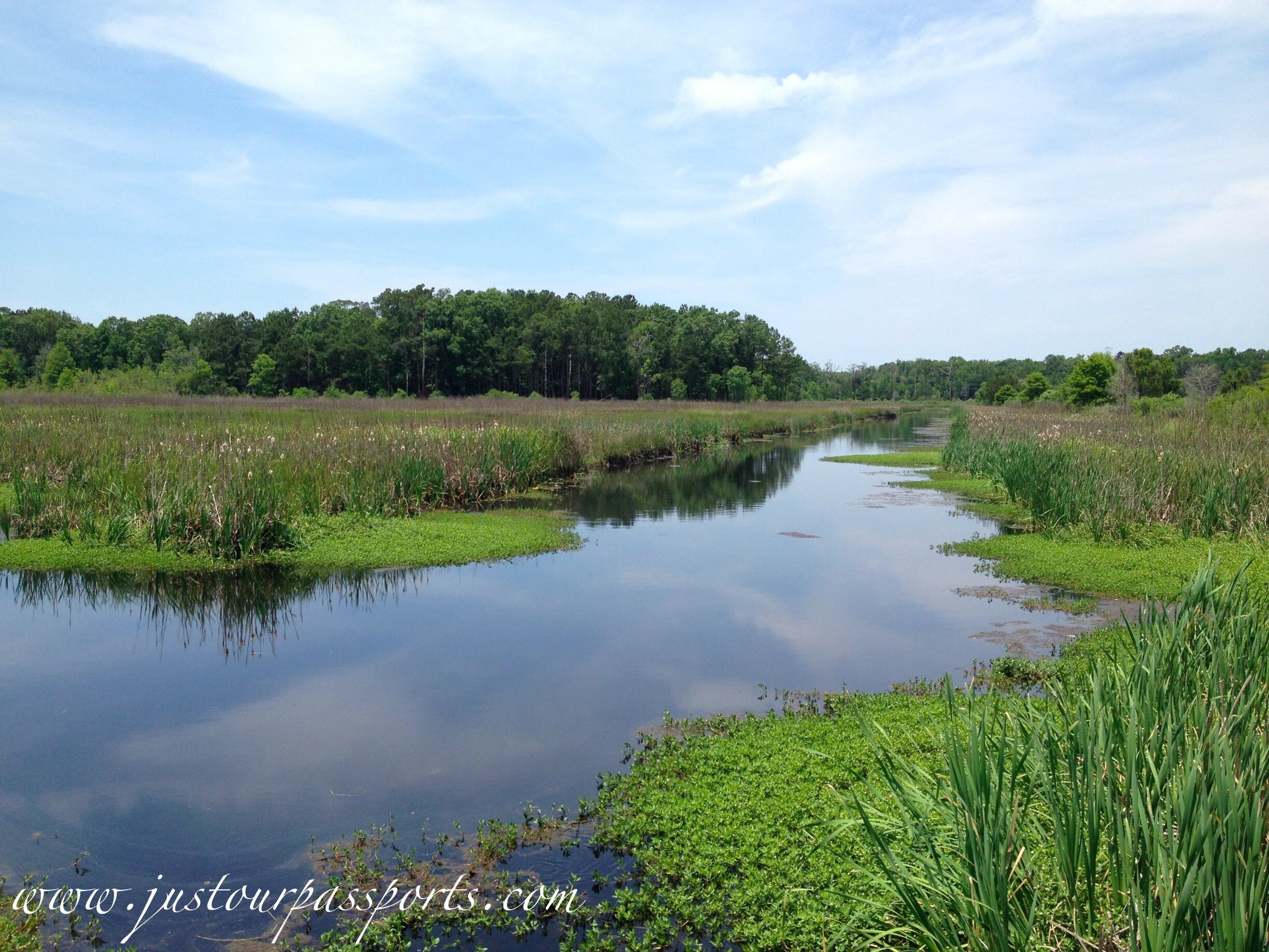 Ravenel, SC Vacation Rentals house rentals & more Vrbo
