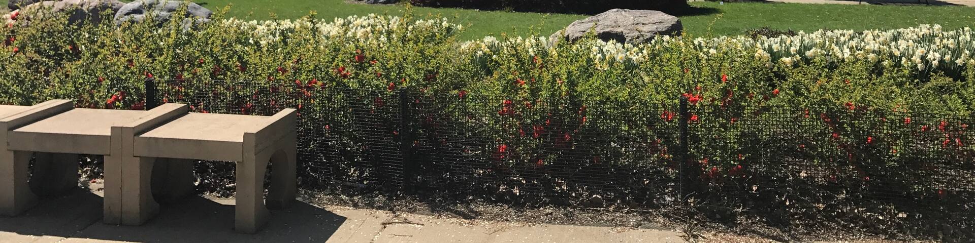 Very nice terminal for the river taxi