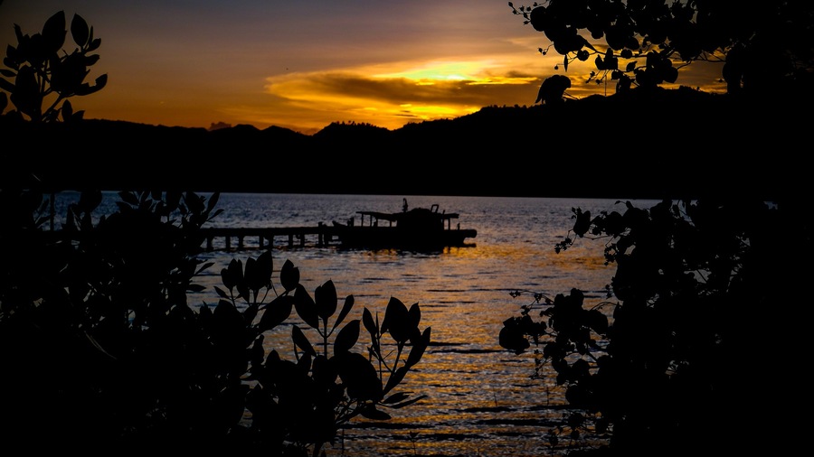 Dock and Boat