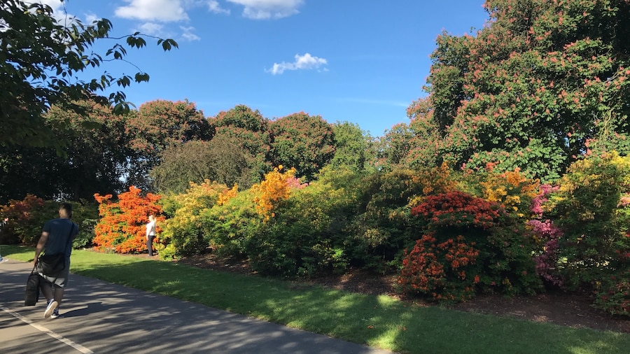 Valentines Park