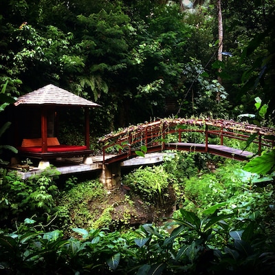 The Hanging Gardens in Ubud, Bali was by far the nicest hotel I've stayed at. You've probably seen pictures of the world famous infinity pool, but the bigger appeal for me was the private bungalows tucked away in the jungle. #jungle #Indonesia #ubud #bali