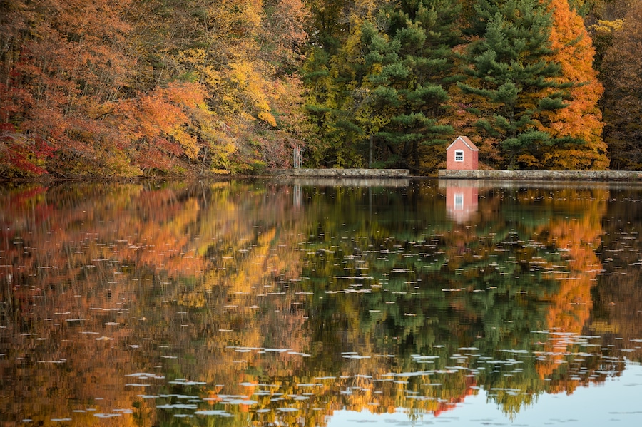 A little gem I found over the weekend still holding some fall colors. Hope Lake in Shelton Connecticut USA not far from my home town. Big rain came today so I wanted to get out before the weather turned and ruined the foliage that was left.