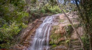 #likealocal
Lavras Novas is a little town of Minas Gerais next to the historical city of Ouro Preto. The access is made by dirt road and the great attraction is the contact with nature. It has paradisiacal places, trails, waterfalls and it is possible to hire guided tours and 4x4 alternative transportation. It has simple and cozy inns and restaurants. And at night it is still possible to see a magnificent starry sky that is not found in the big cities! 
This is the “Valentine's #Waterfall”!