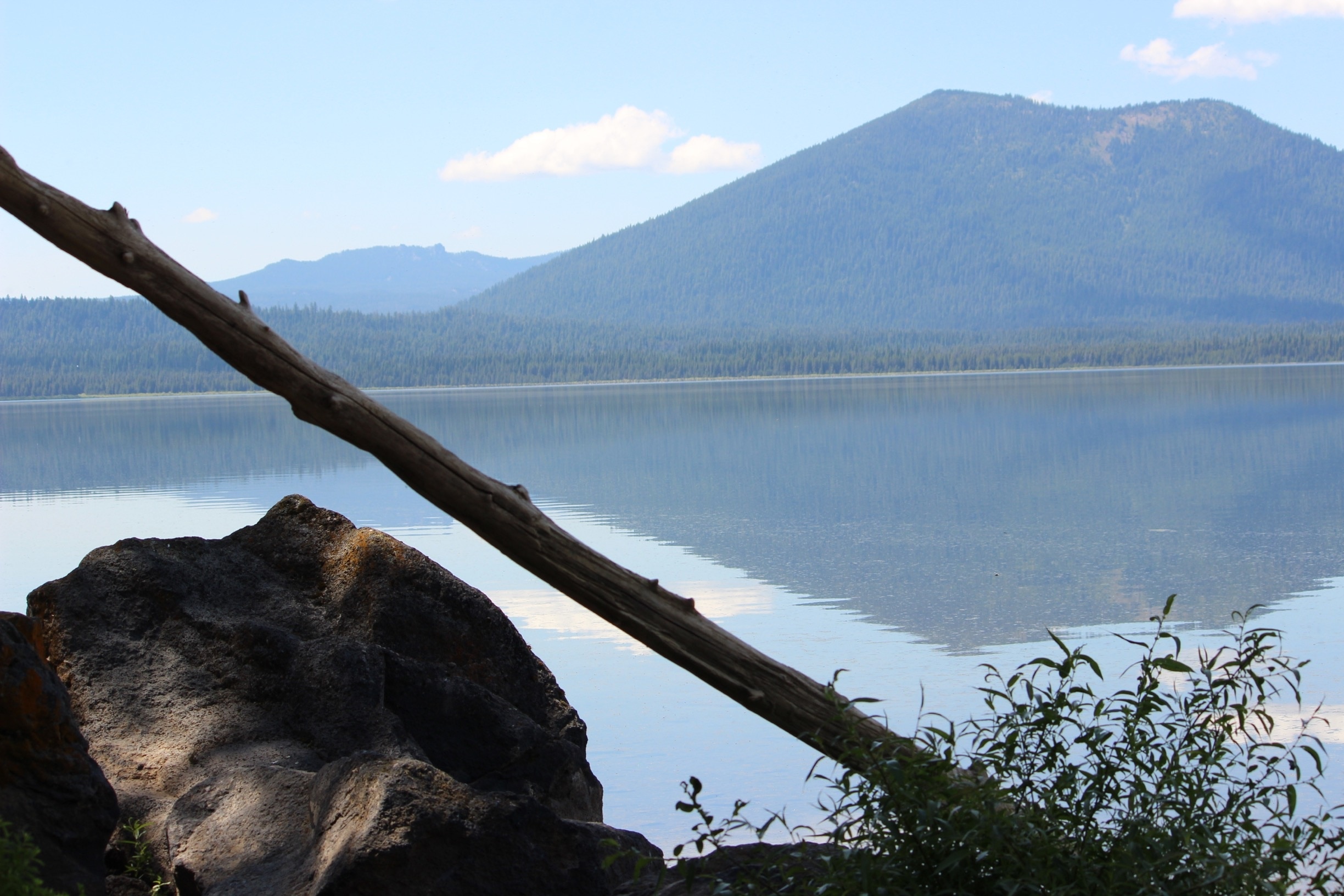 Photo by Deena Grigsby-Boman