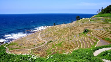 Shiroyone senmaida (白米千枚田) , Japan
This rice terrace faces the ocean.