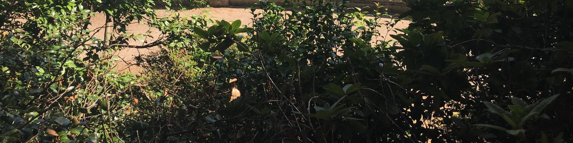 Jardin des plantes à Angers - un lieu de tranquillité en famille