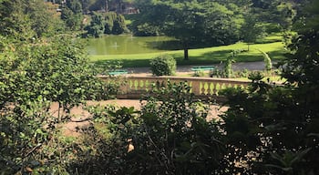 Jardin des plantes à Angers - un lieu de tranquillité en famille