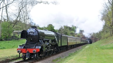 Flying Scotsman on the Bluebell Line