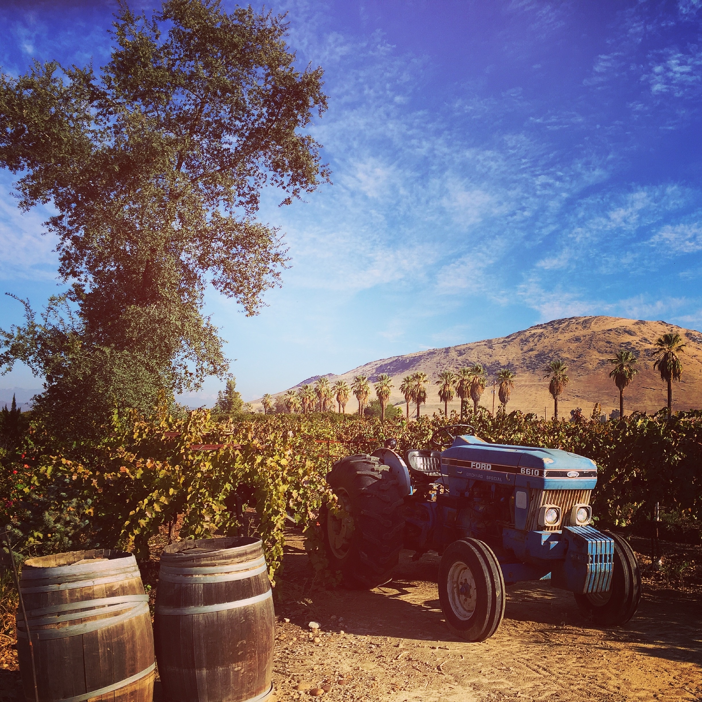 California is wine country!  And many great growing regions are just outside of the Los Angeles area #LoveMyTown