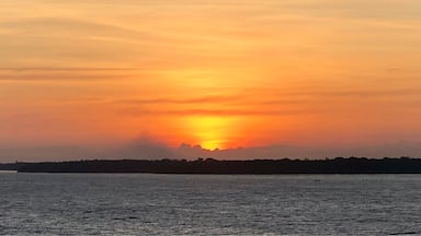 We have left the Atlantic Ocean behind and our now cruising up the Amazon River. We will spend the next 8 days cruising up and back down the Amazon stopping along the way to explore.