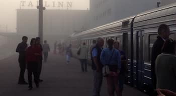 Catch a train to St Petersburg from Tallinn - long journey but an economical and comfortable way to travel. 