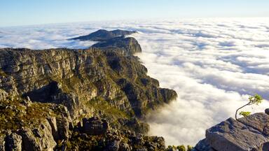 View of the clouds from the top of Table Mountain. #springfun 