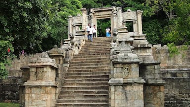 This is completely made out of stone. Just imagine the talent of the artist. This is the entrance to the ancient kingdom, Yapahuwa. One of the must visit places in Sri Lanka. 

Yapahuwa is the 4th kingdom here. It is situated in a naturally protected area. So, Kings were able to face their enemies much easier.