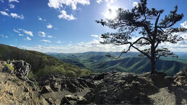 This was one of my favorite overlooks off of the Blue Ridge Parkway. Worth the stop!  