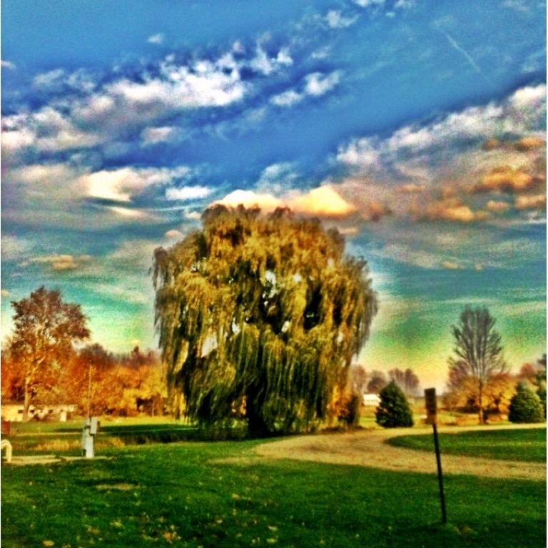 Visit Burr Oak 2021 Travel Guide for Burr Oak, Michigan Expedia