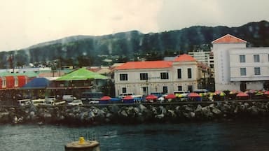 Rainy day on Dominica, but it was still fun.  I liked the colorful roofs and building colors.  