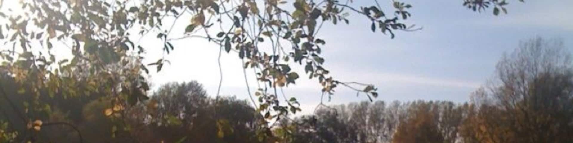 A bit of tranquility for you .....