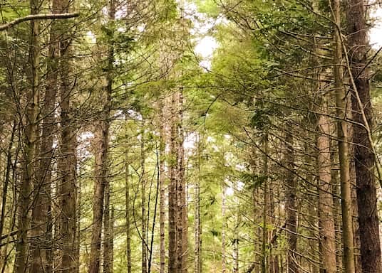 Coos Bay, Oregon, USA