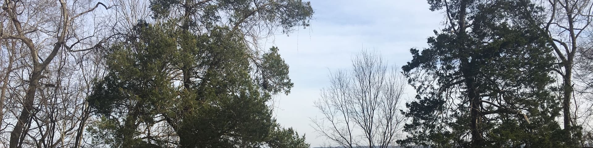 Wreaths on the graves at Shiloh!
