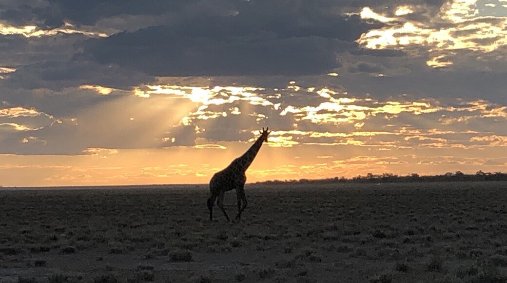 Namutoni, Oshikoto Region, Namibia