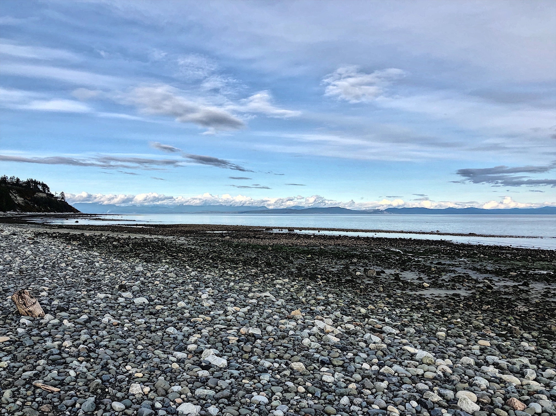It was a very low tide at Goose Spit in the Comox Valley!
