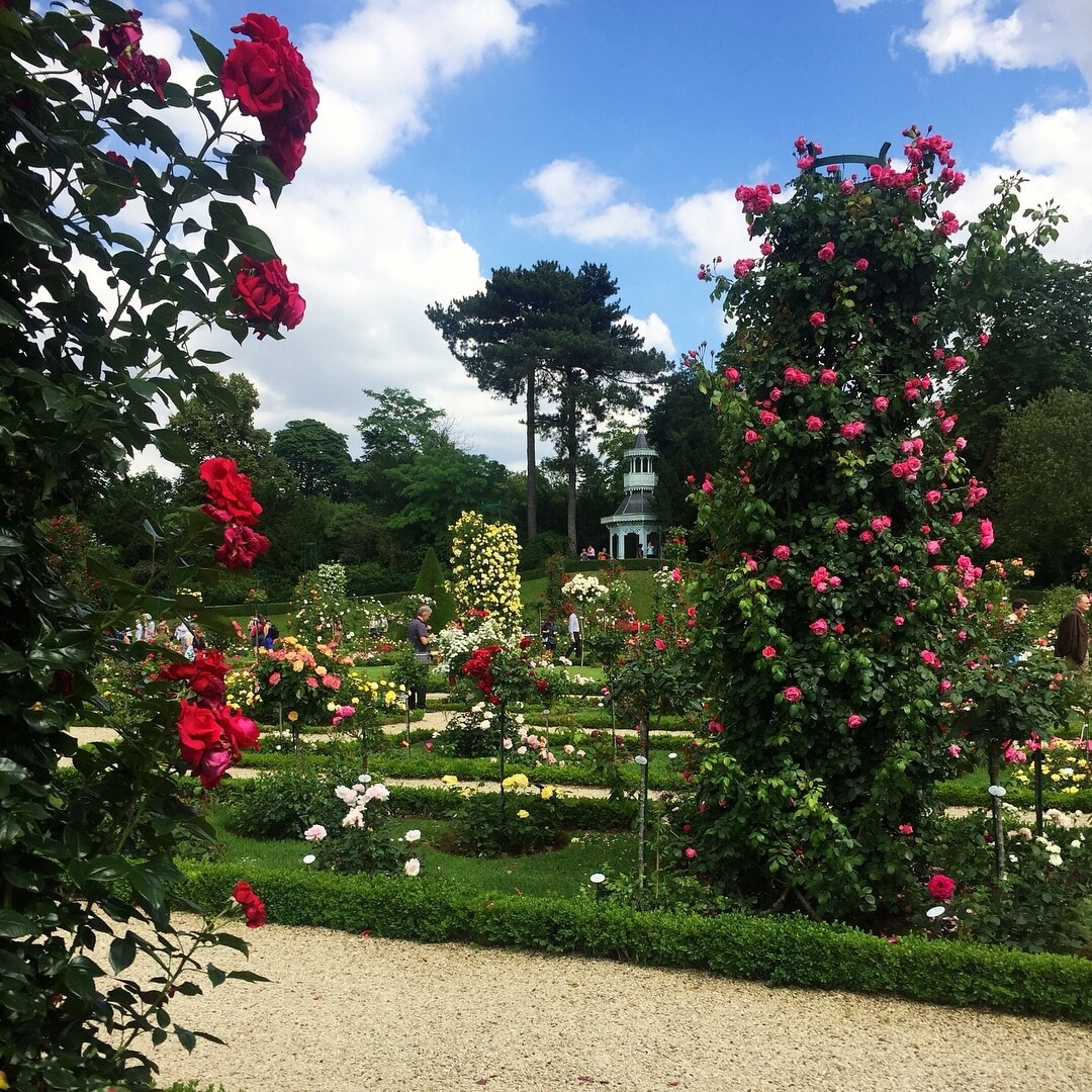 « Week end de la Rose » at Bagatelle Park (Neuilly sur Seine - France 🇫🇷)

#rosary #park #france #europe

June 2018 - Iphone 6