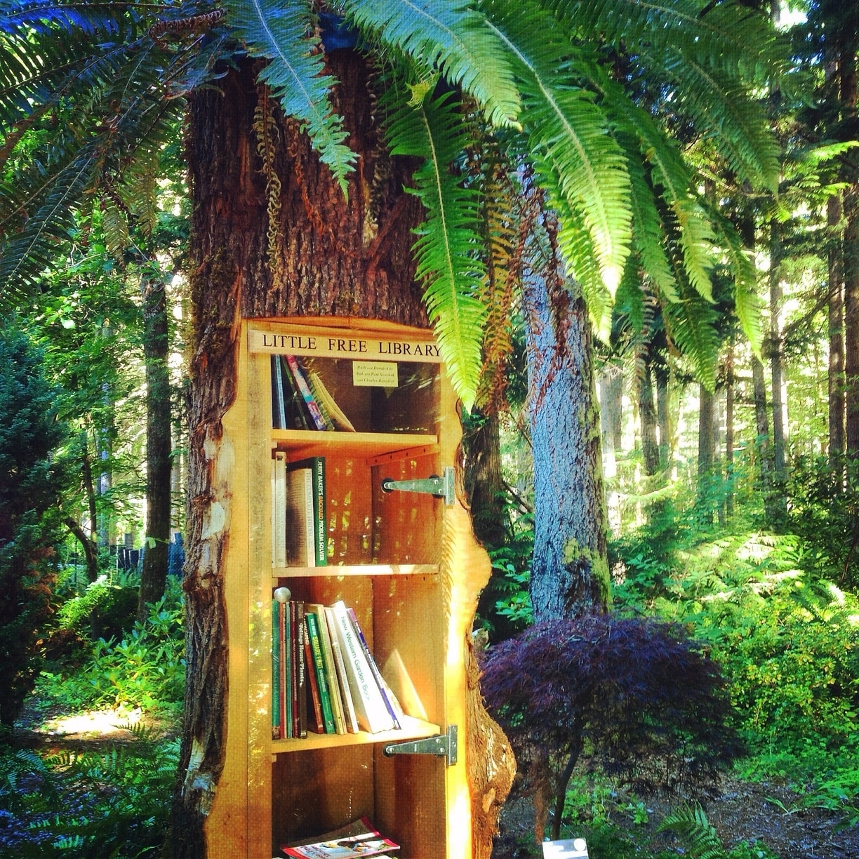 It's a library in a tree! Came across this very clever "Little Free Library" today while hiking at the Lake Wilderness Arboretum in Maple Valley. The nearby bench is a  wonderful place to sit, soak up the serenity of the gardens and browse books left by others. • http://lakewildernessarboretum.org • #MapleValley #Washington #arboretum #gardens #library #hike #localgem