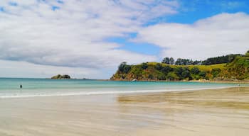 Palm Beach on  Waiheke Island is the place where you should be during the hot summer days! Look at that color of the sea! Beautiful!