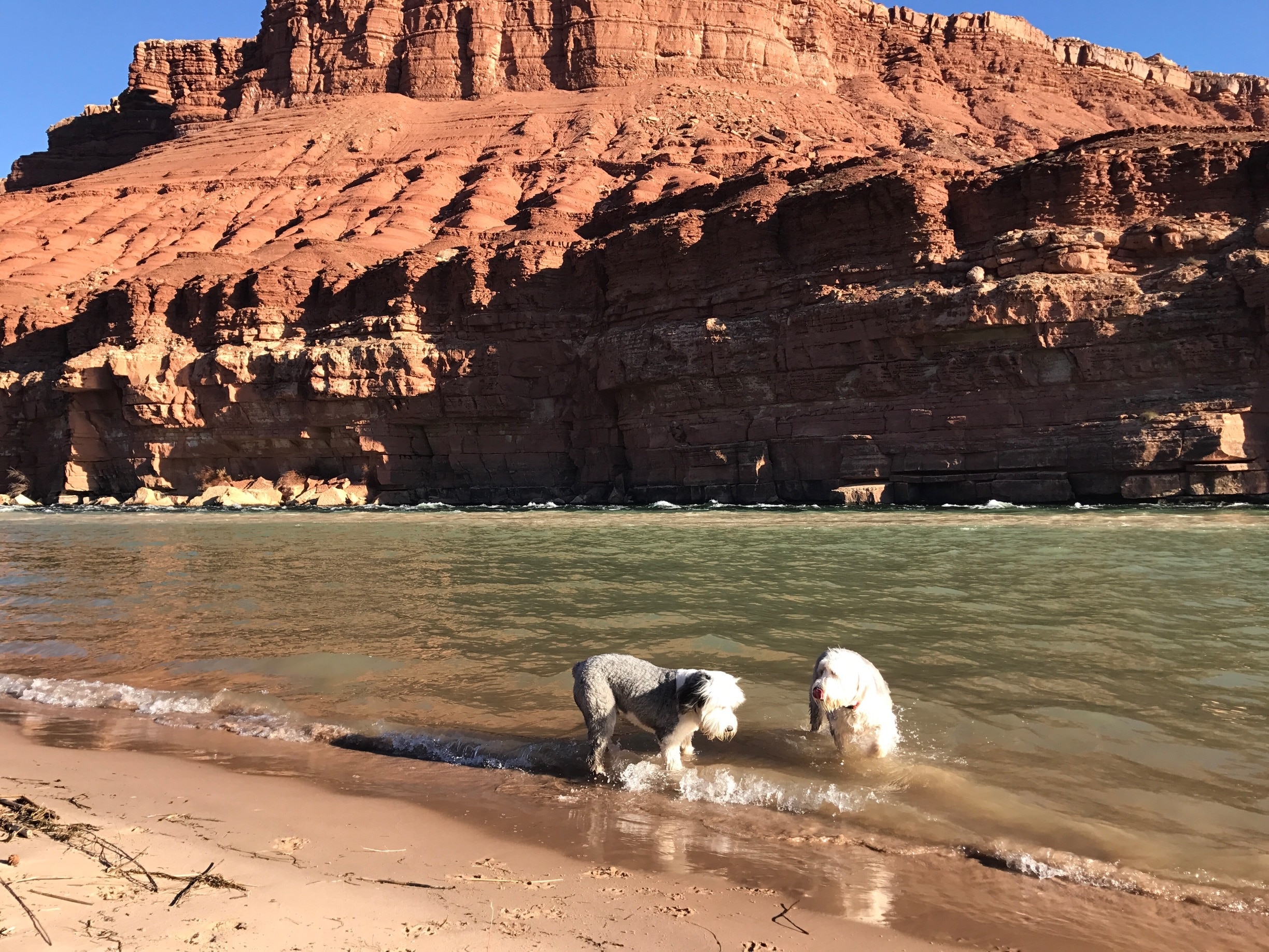 Playing in the Colorado River!