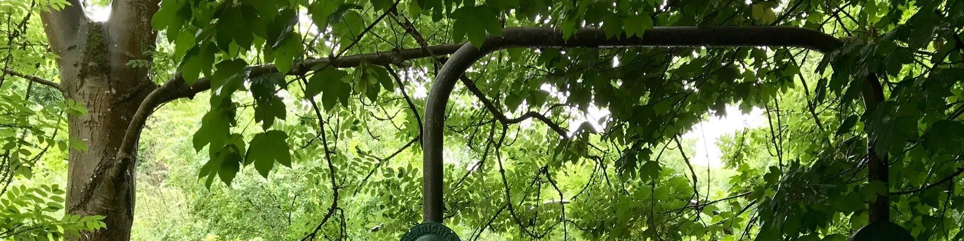 Bridge across the Brent near Bunny Park.
Nearest station: Hanwell.