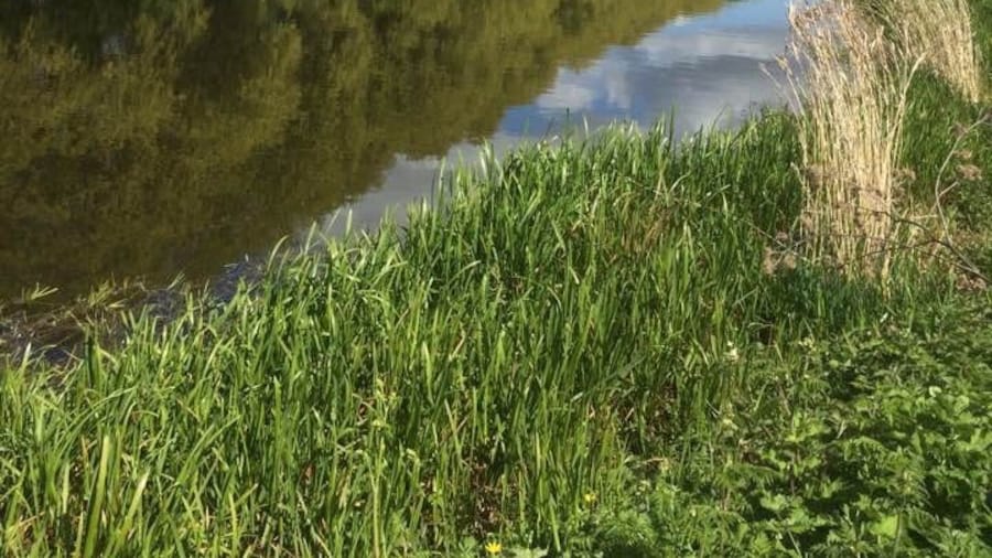 Stanwick Lakes Country Park