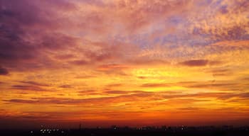 viewed from the rooftop 