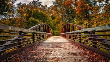Fall colors begin to show as you walk across a secluded park bridge at White Clay Creek State Park in Delaware.