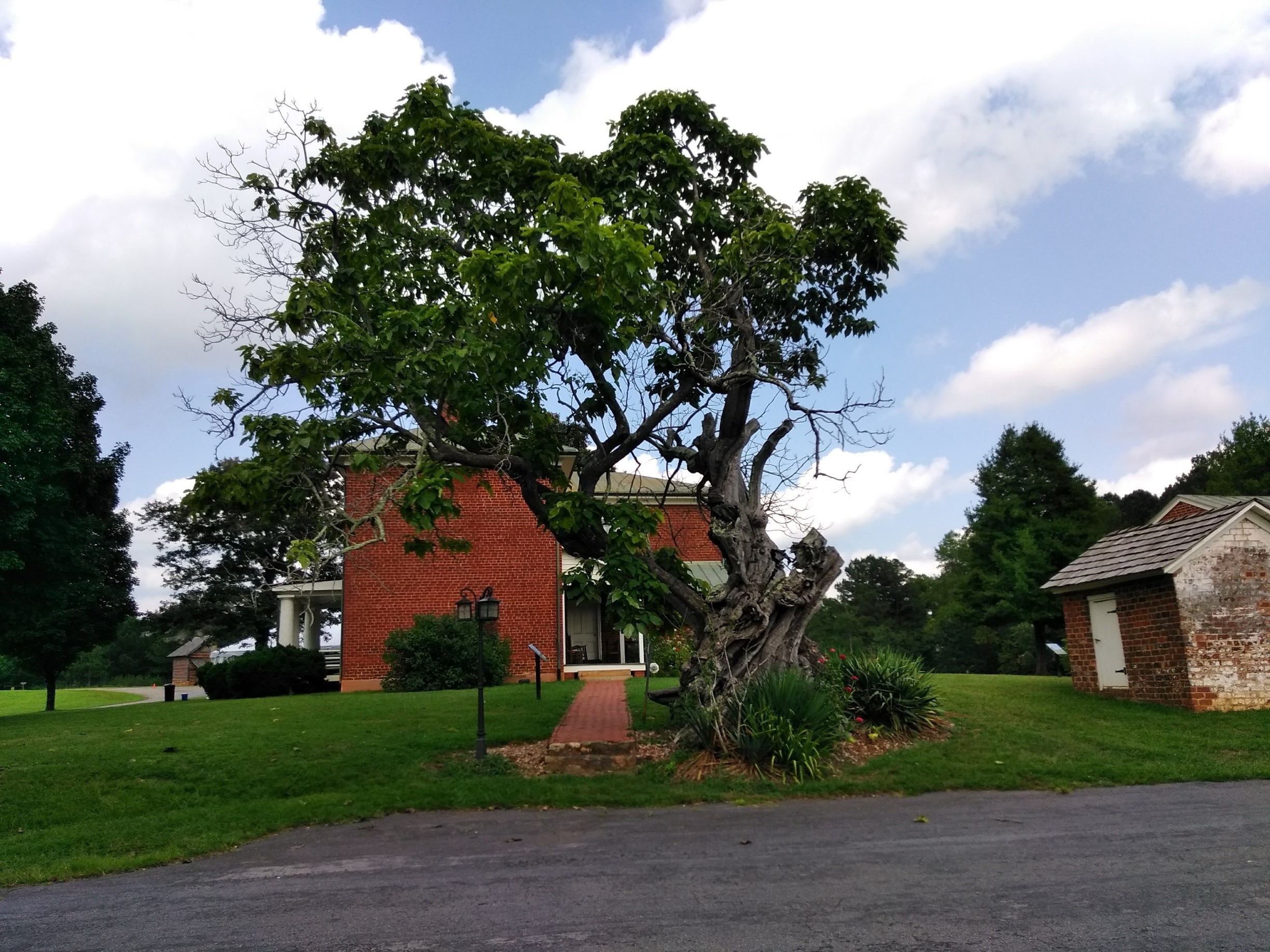The Reynolds Homestead, built in 1943 is in a beautiful foothill setting. Hardin Reynolds and his wife produced 16 children here, the most famous being RJ Reynolds who migrated to Winston Salem, NC to start the tobacco empire of the same name. The catalpa tree in the foreground still remains from the earliest days of the homestead.