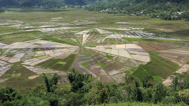 It is unusual rice field which is not found elsewhere.  It is about 100 km from Labuhanbajo.