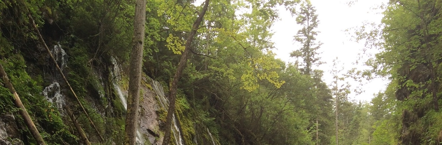 Ramsau bei Berchtesgaden, Vācija