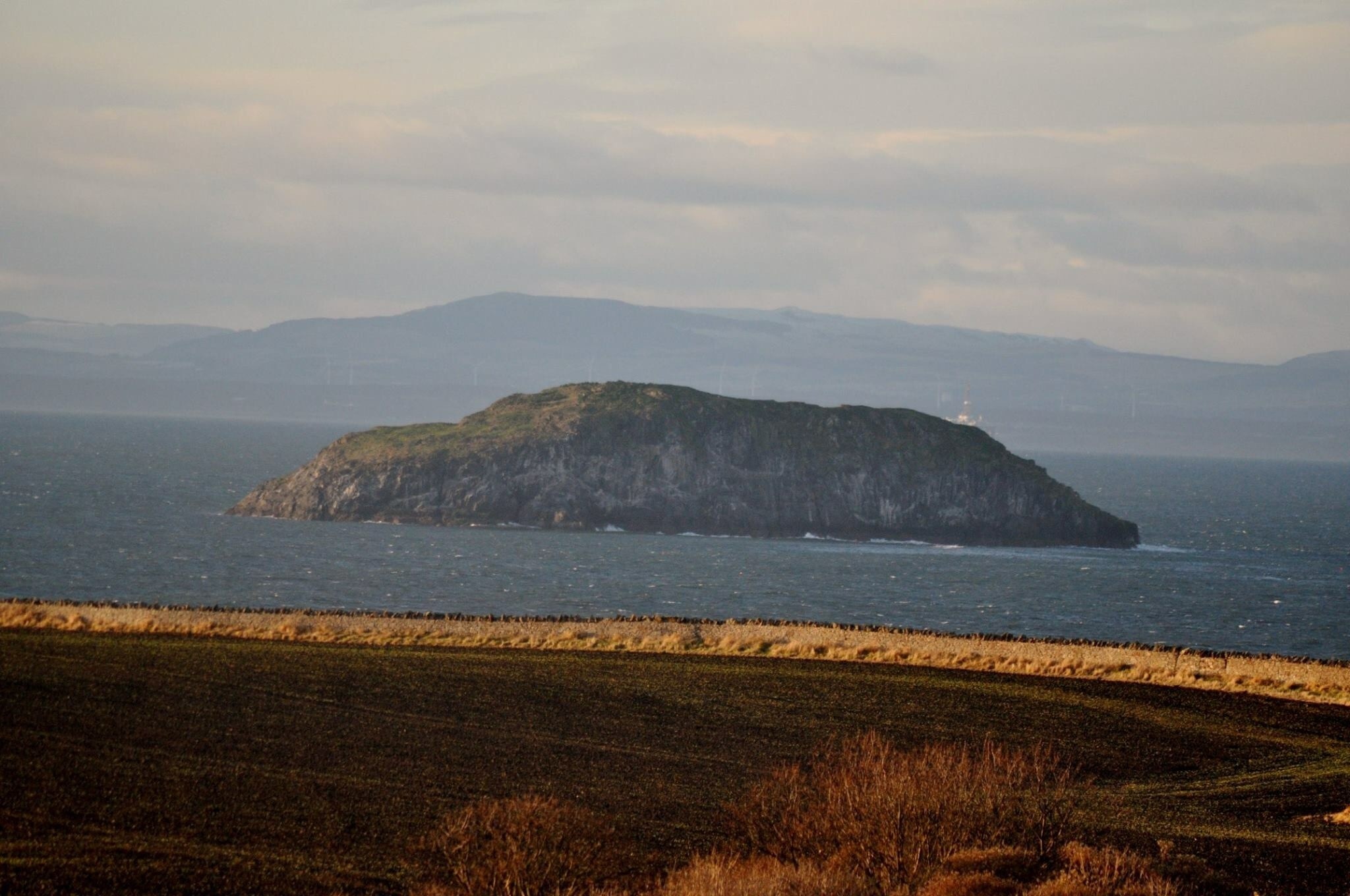 Craigleith.

Another of the islands in the Firth of Forth, famous for its puffin breeding colonies.