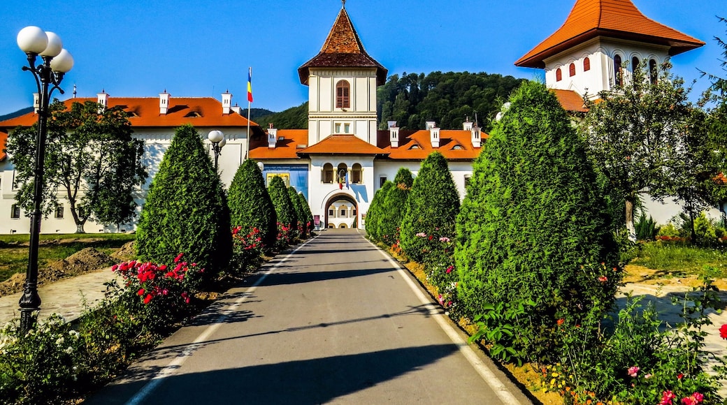 Viștea de Jos, Brașov County, Romania