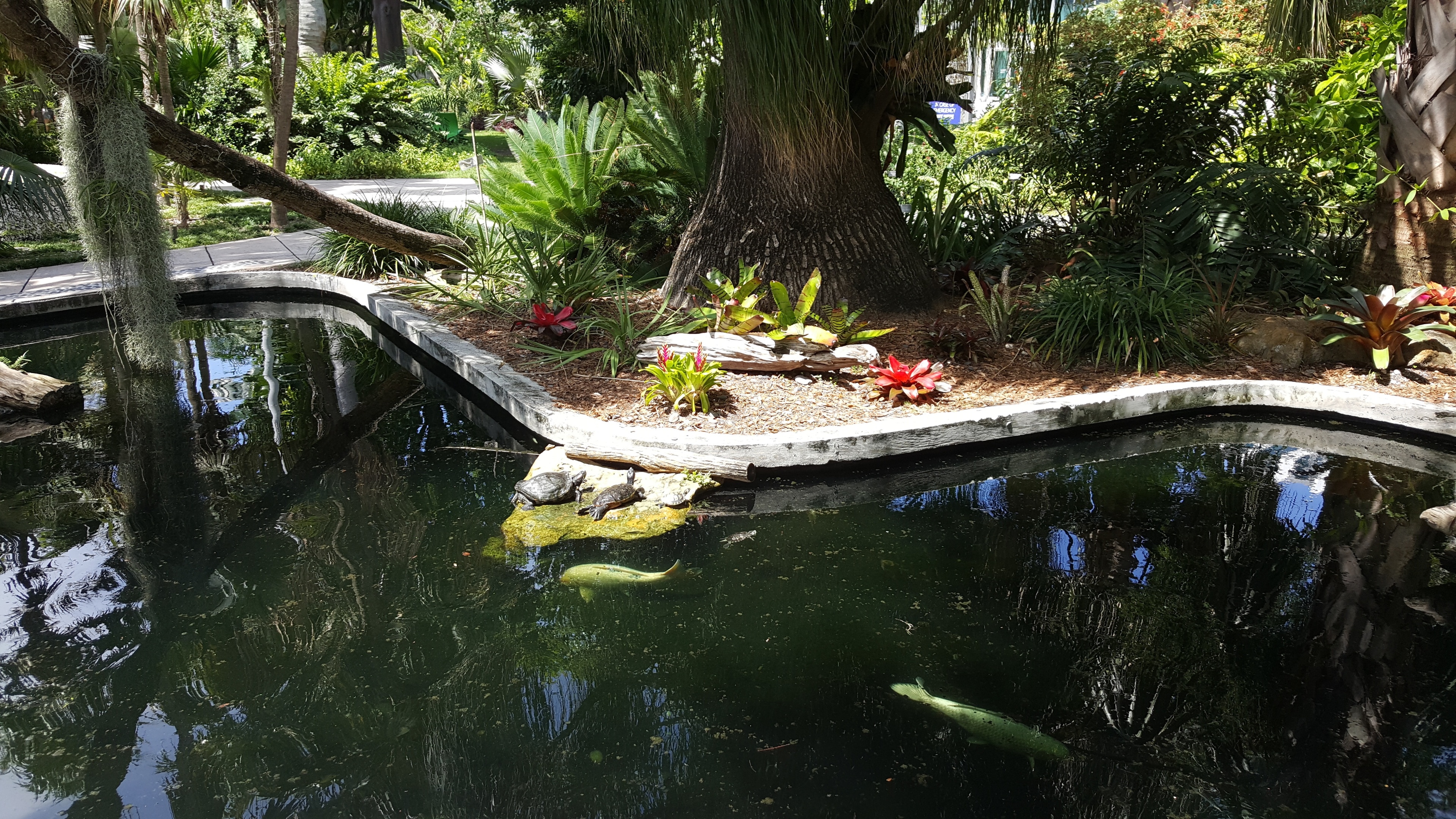 Miami Beach Botanical Garden, Miami Beach, Florida, USA