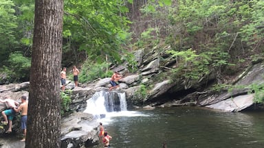 This is my kids' favorite swimming hole. Now is the best time to go, later in the summer that waterfall will be almost dry.
#waterfall #swimminghole #alabama 