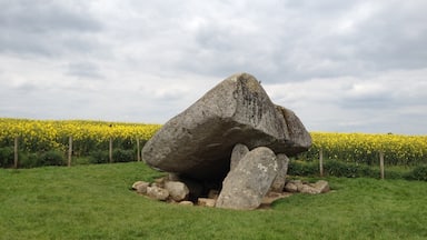 An interesting find in the middle of the canola fields of Ireland. How did these large rocks get placed here?  