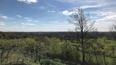 Beautiful views and a sunny day in Surrey, England. #views #surrey 