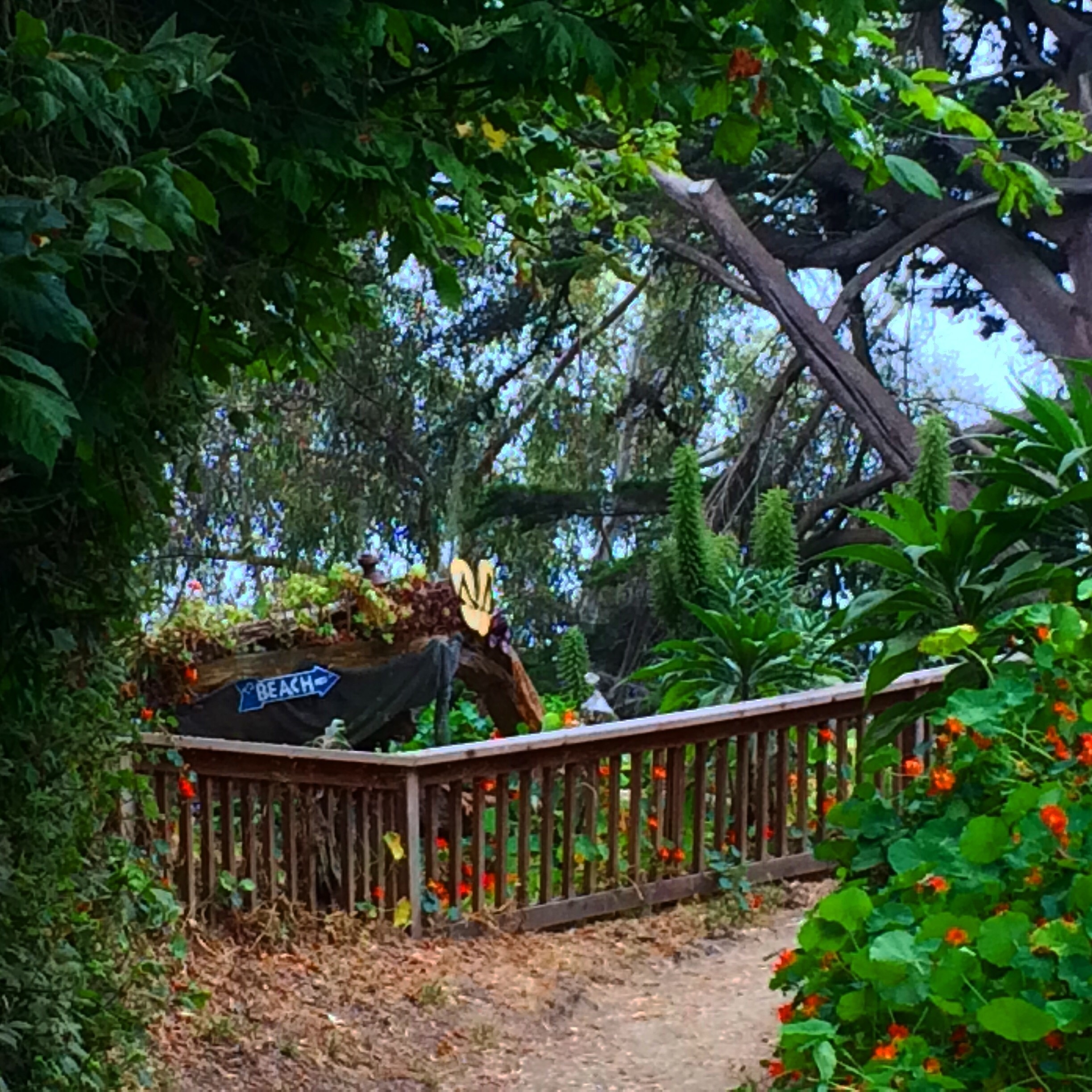 Foto av Sherry M. 🦋