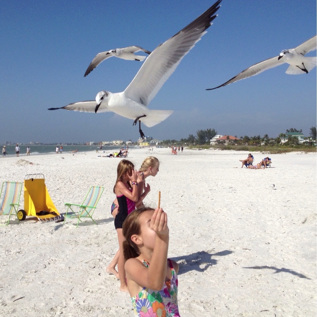 #kidsfun I wouldn't say feed the seagulls but there are so many nice restaurants and beach shops.
