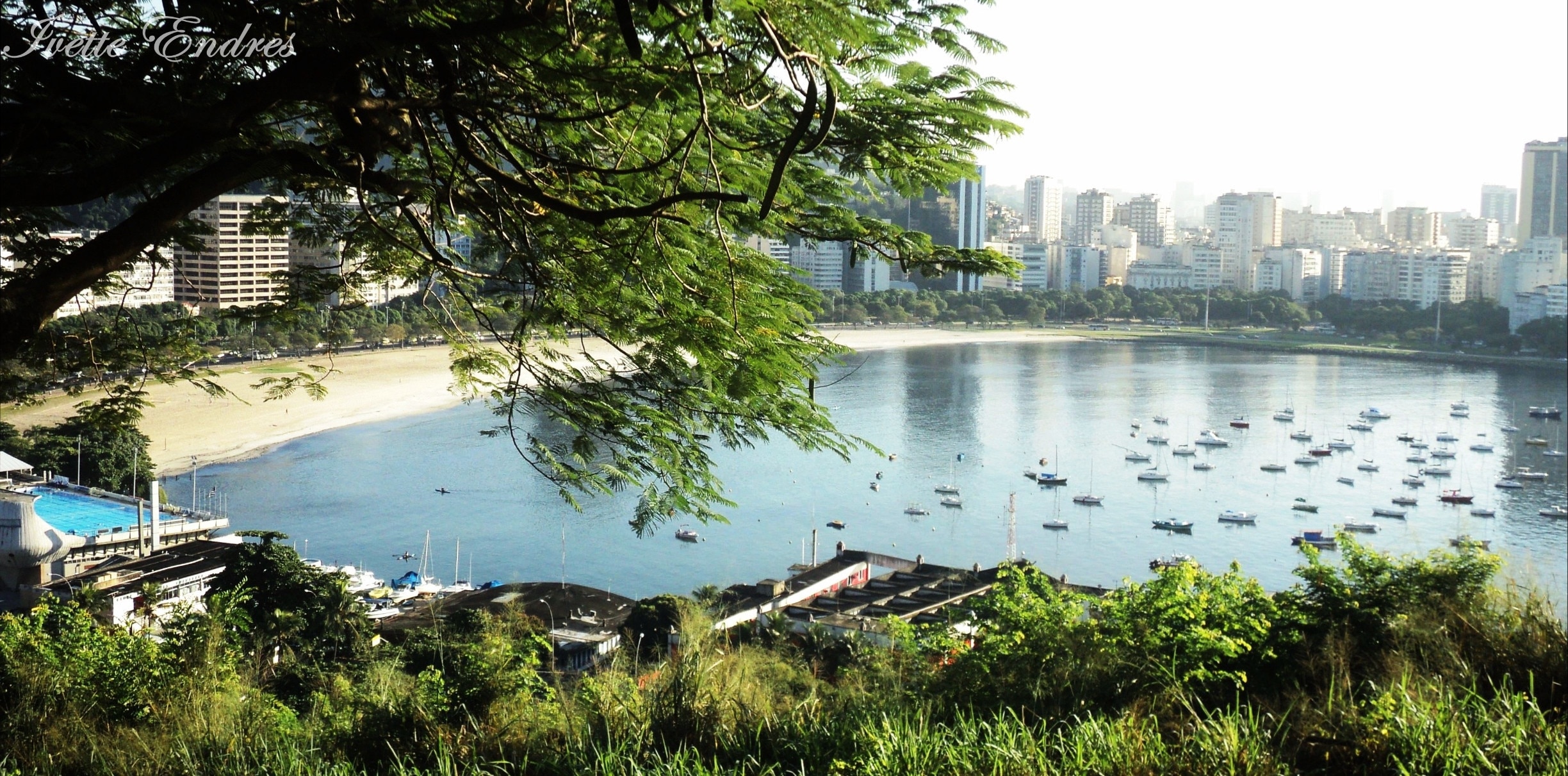 You can get a nice view of Botafogo beach and if you like the cats, this will be your favorite place in Rio de Janeiro :D