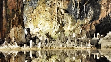 The show caves of the Saalfeld Fairy Grottoes a "one off", unforgettable natural beauty is alone worth the journey. #KidsFun