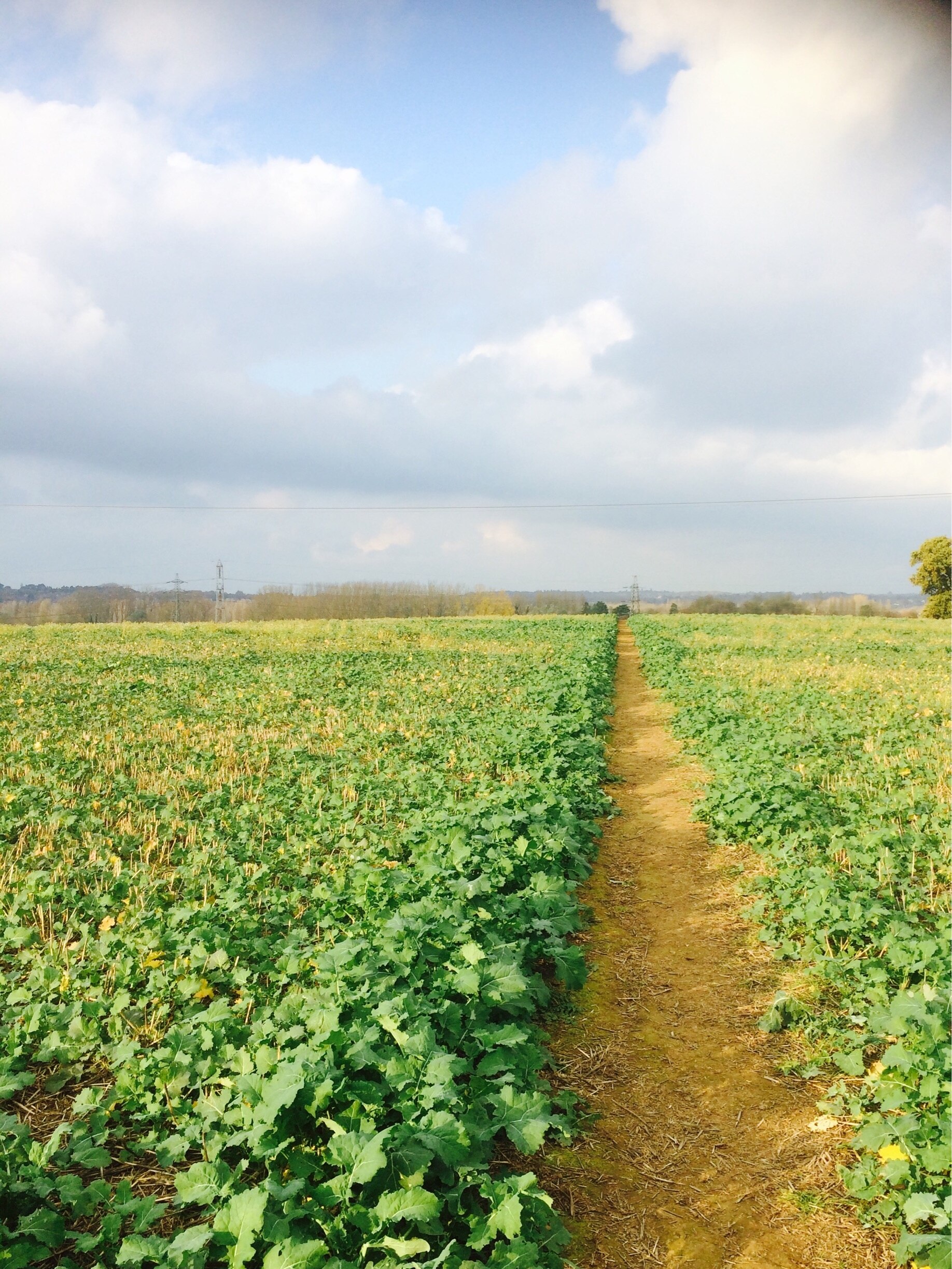 Foto von Mick Coutin