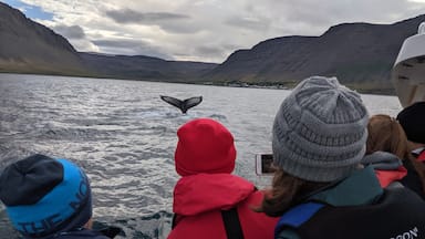 A fishing and whale watching boat tour that lasted about an hour in a bay near a small Icelandic fishing down. Humpback whale, got within about 60 feet of it. #Adventure