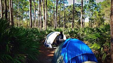 Great place to get away from the concrete jungle in Florida. Kissimmee state park has great camp sites and canoeing! #FloridaCamping #Adventure #nature #green #weekendgetaway