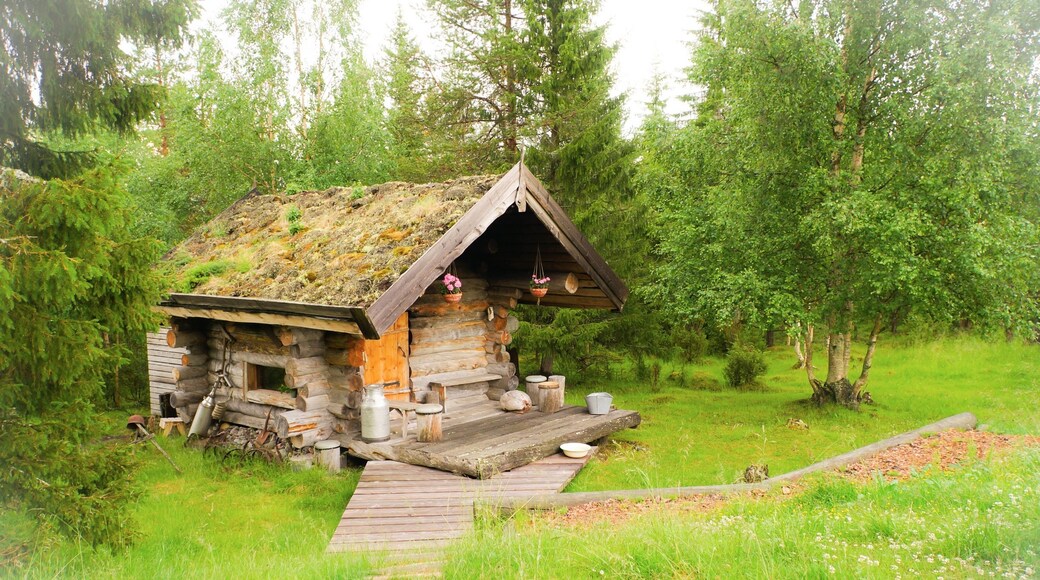 Vihti, Uusimaa régió, Finnország